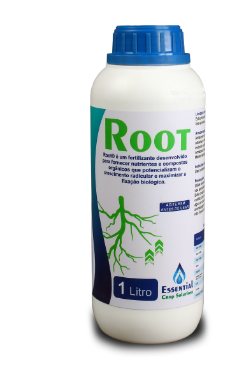 Root